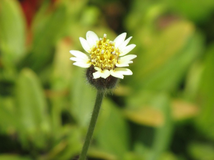 the shot of nature