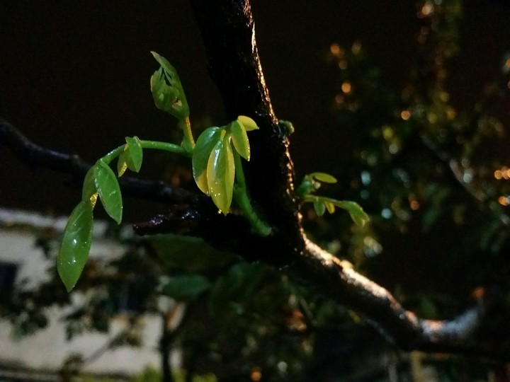 Detalhes