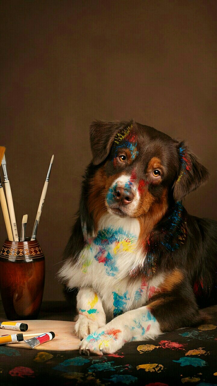 an artist dog