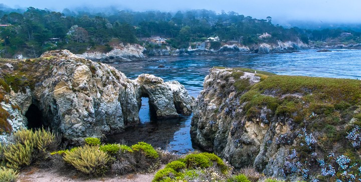 point lobos