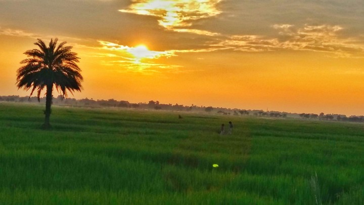 Bihar