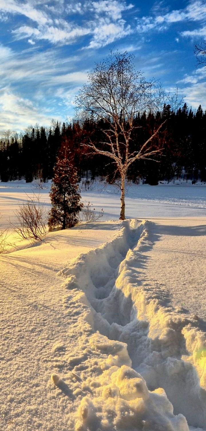 .