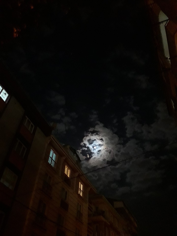 The night