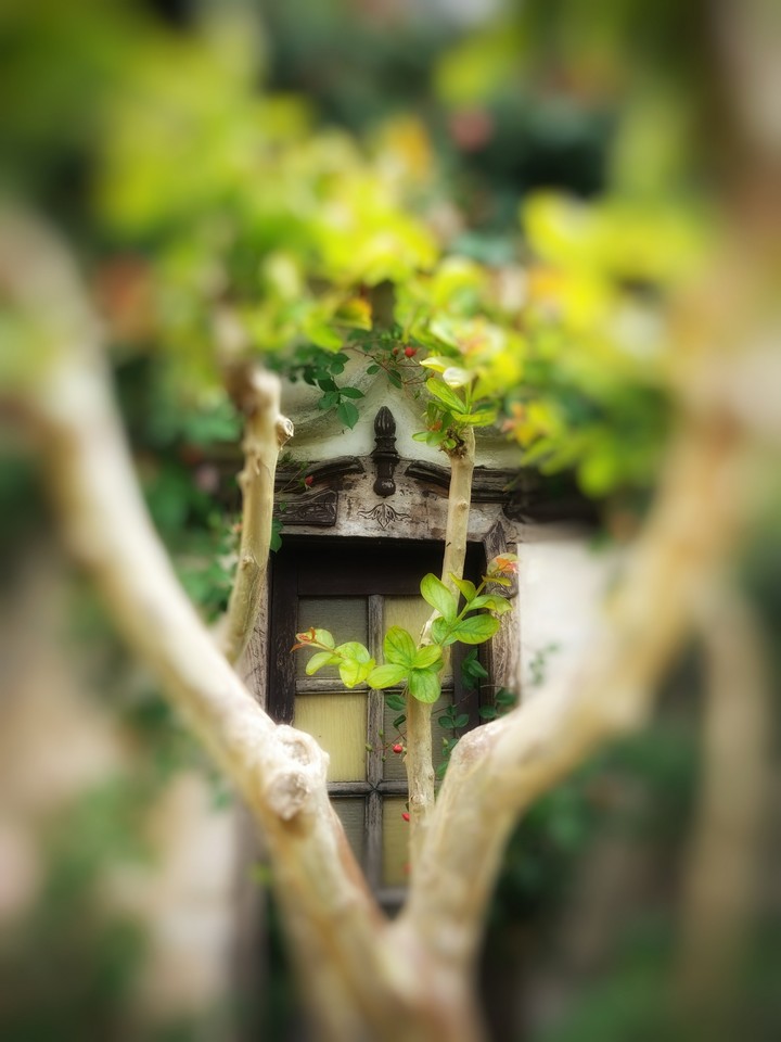 vieille porte