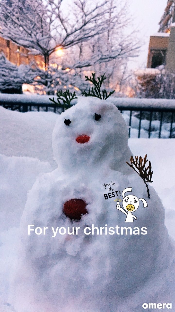 Snowlady for your christmas