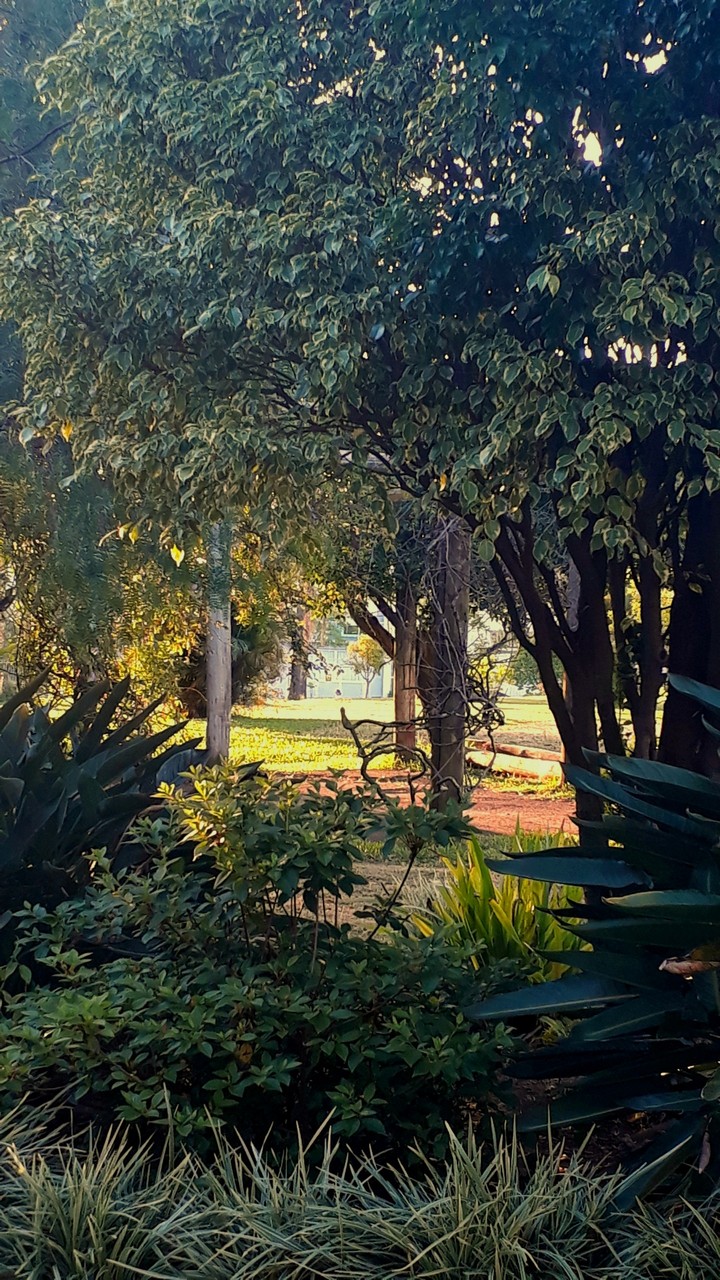 A praça do Planalto