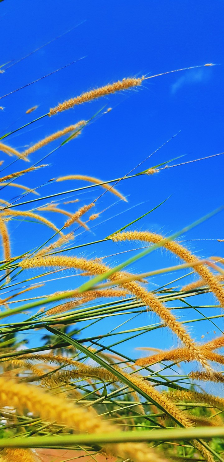 blue sky