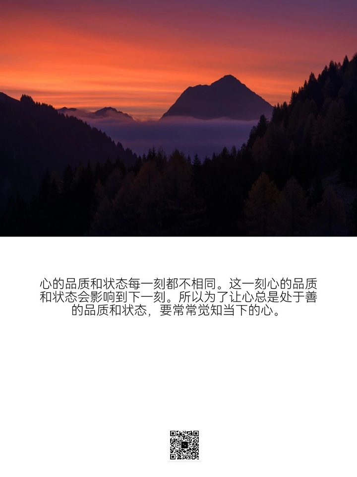 不行动