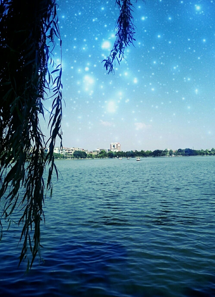 lake and see