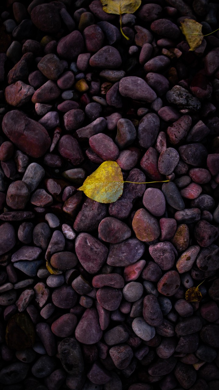 Pebbles at Lake McDonald