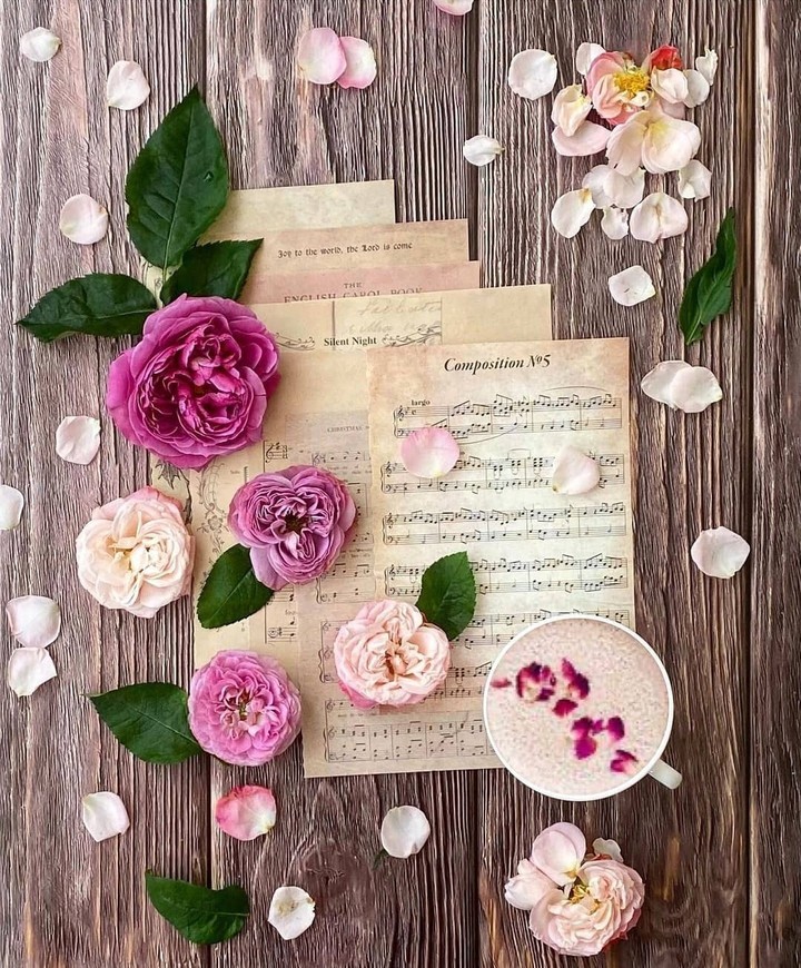 charming roses...