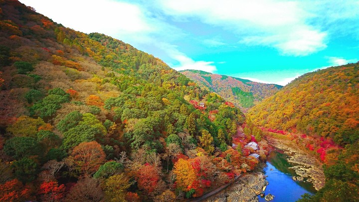 fall