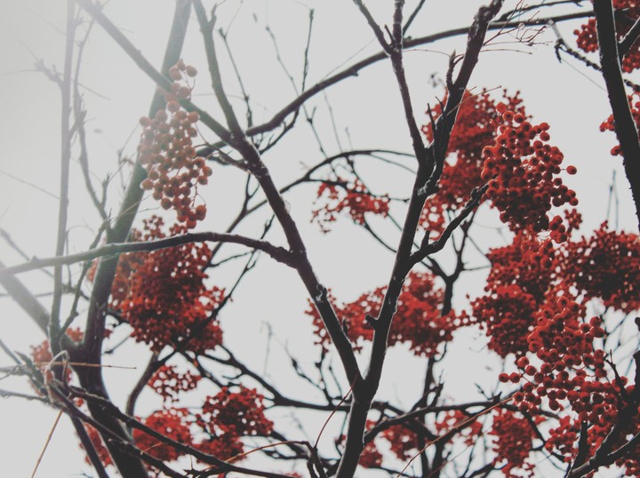 red