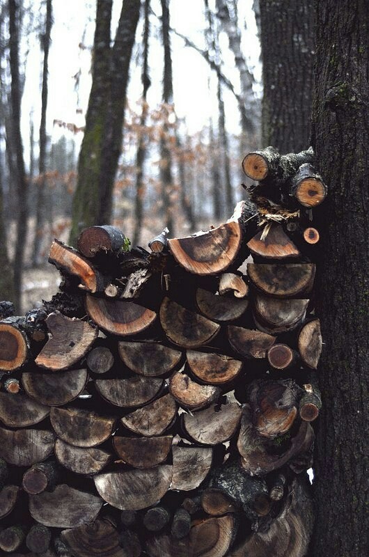 дрова