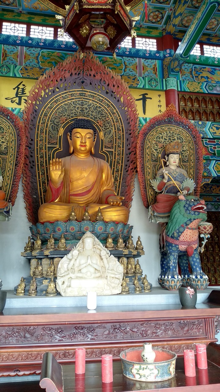 Pairi Daiza