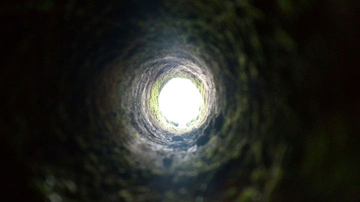 hole at the trunk