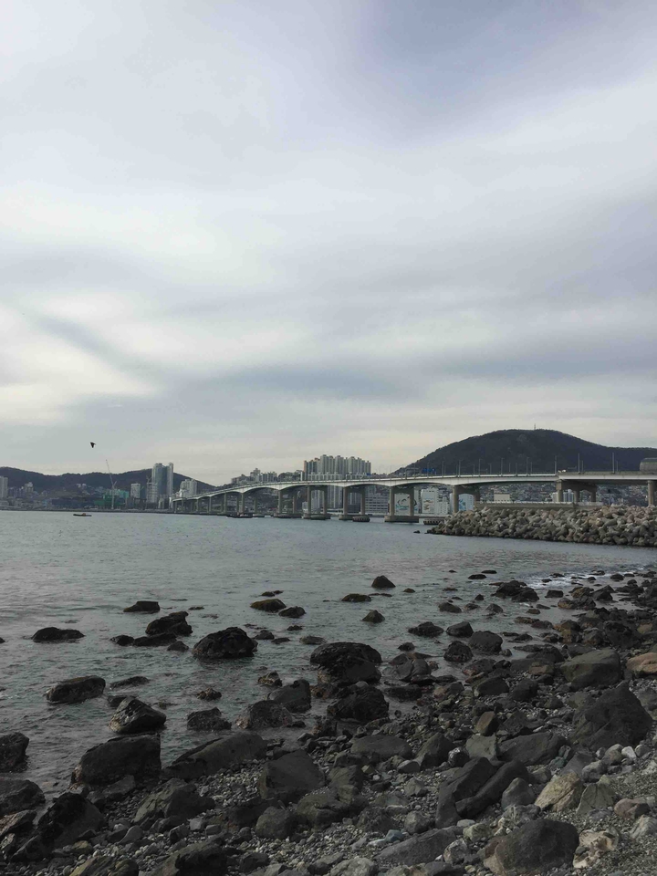 영도