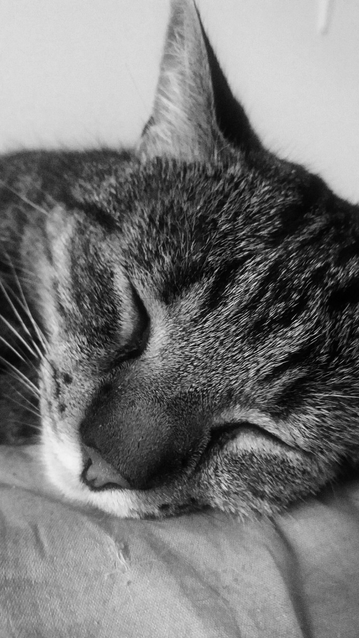 always sleeping