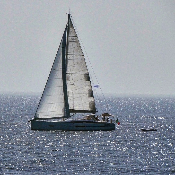 Vela