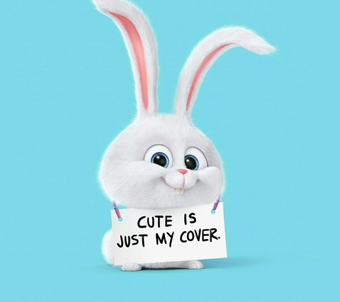 rabbit cute is just my cover