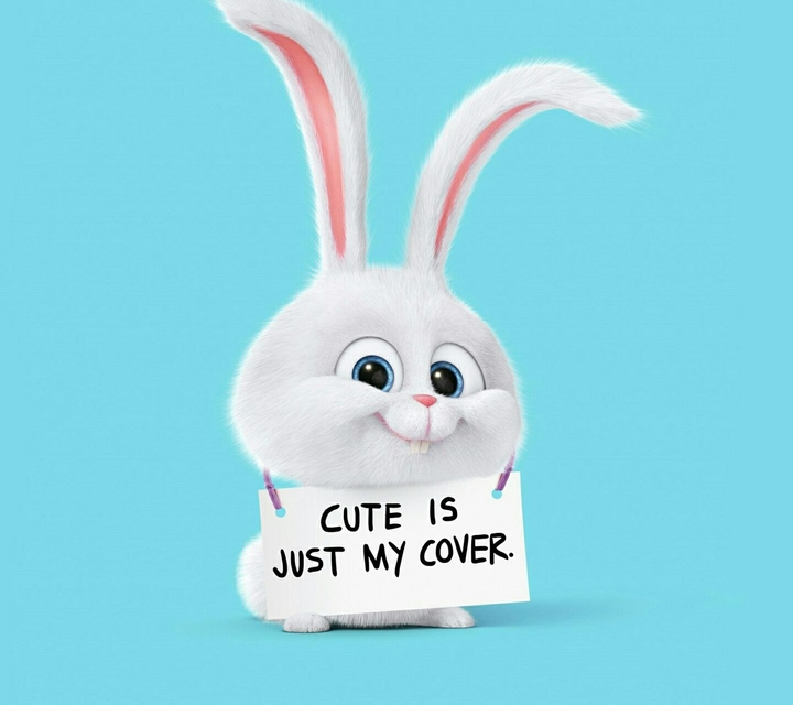 rabbit cute is just my cover