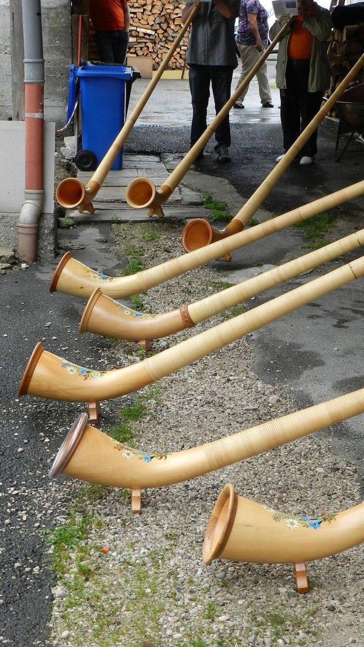 Alphorn