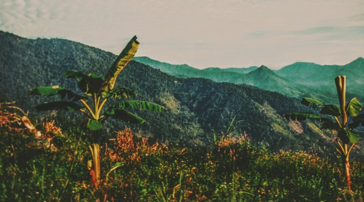 Mountain