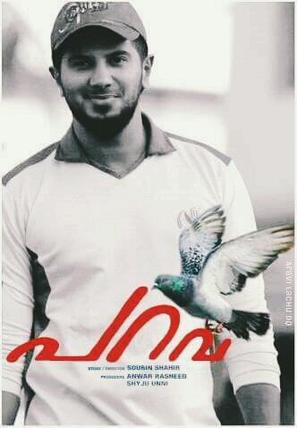 parava DQ