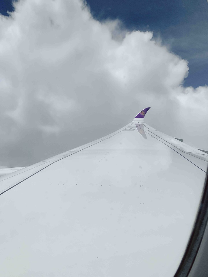 wing