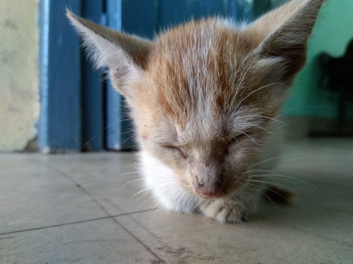 sleepy