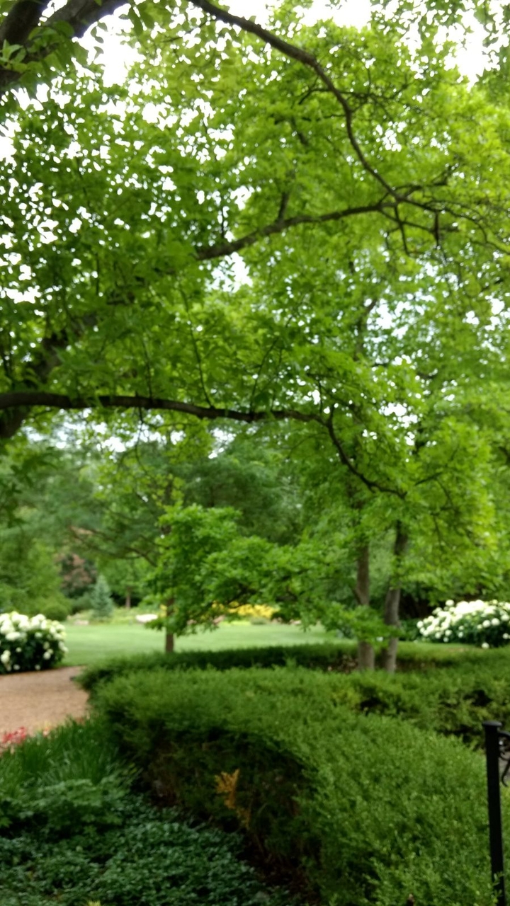 Nature