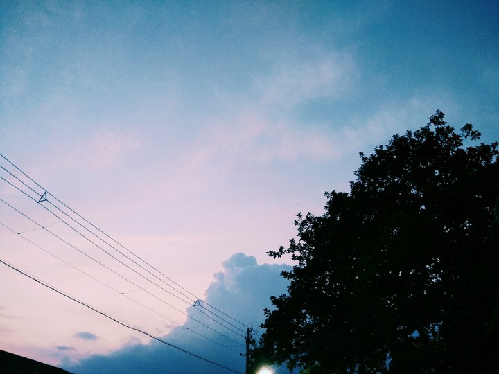 Nature's Beauty