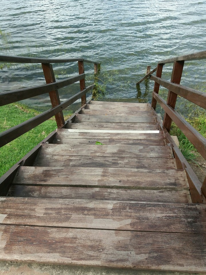 Num lago...