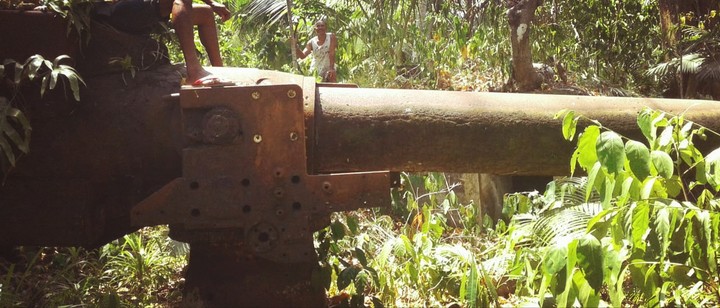 cannon