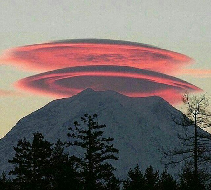 Washington. Seattle