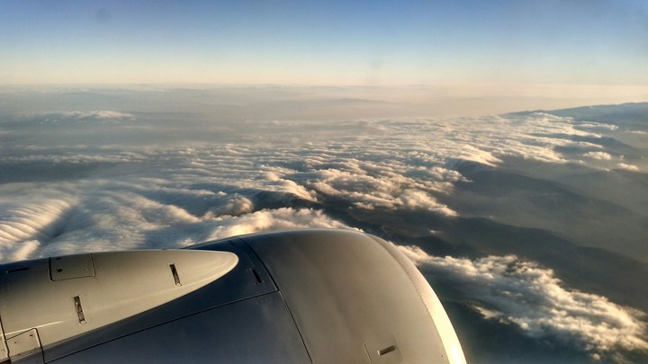 Fly