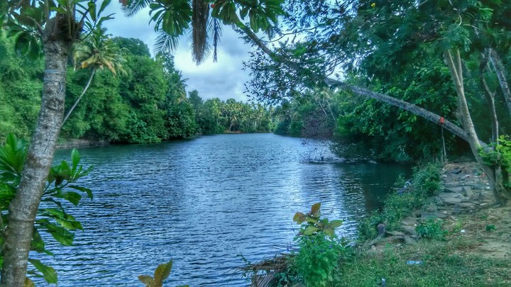 beauty of nature