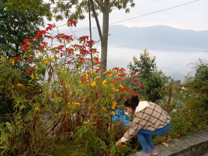 Pokhara