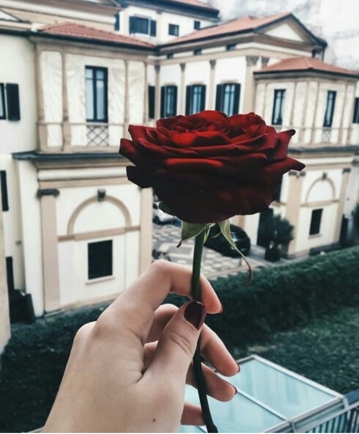 red flower