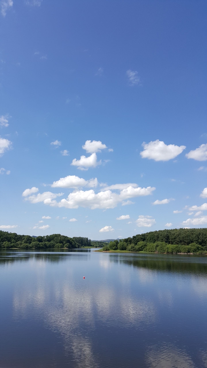 Overlooking the lake