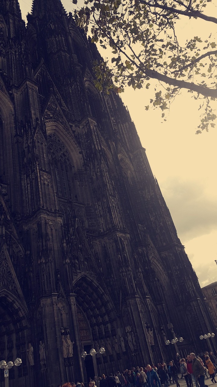 Cologne