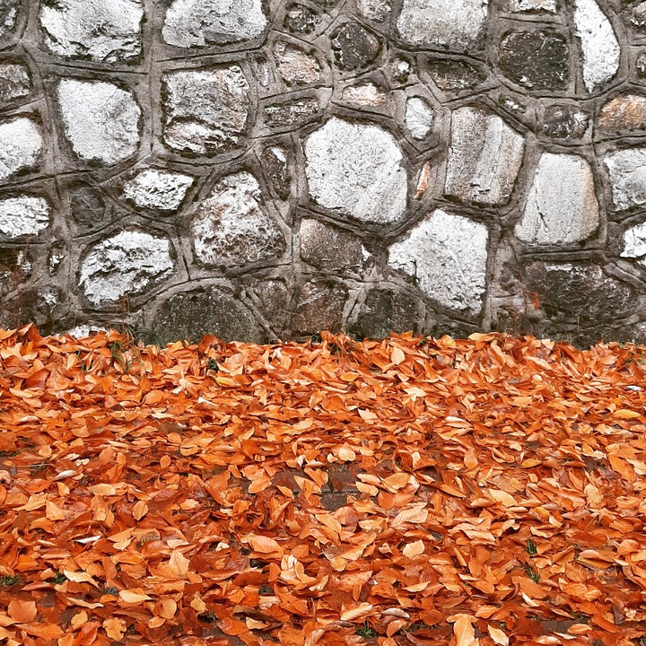 autumn
