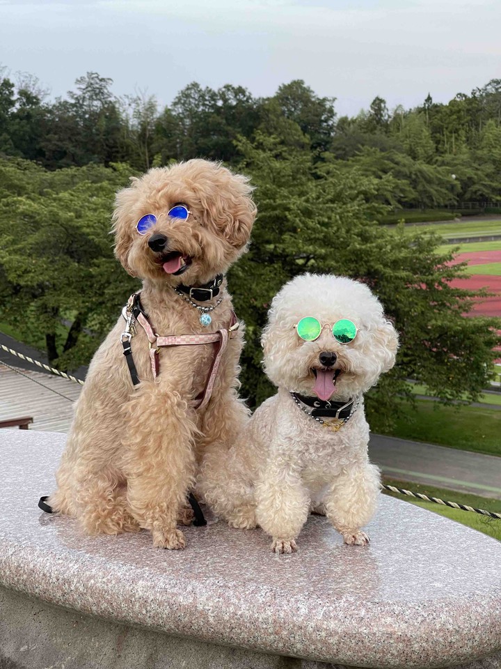 Lucky & Money