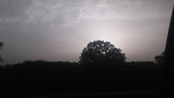 Nature