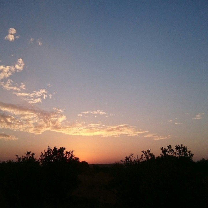 dawn in kalar