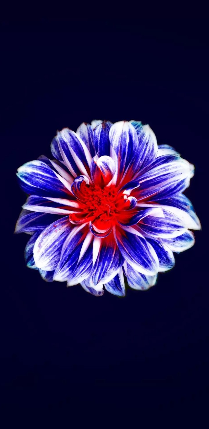 Be honest, be gentle, be a FLOWER not a weed