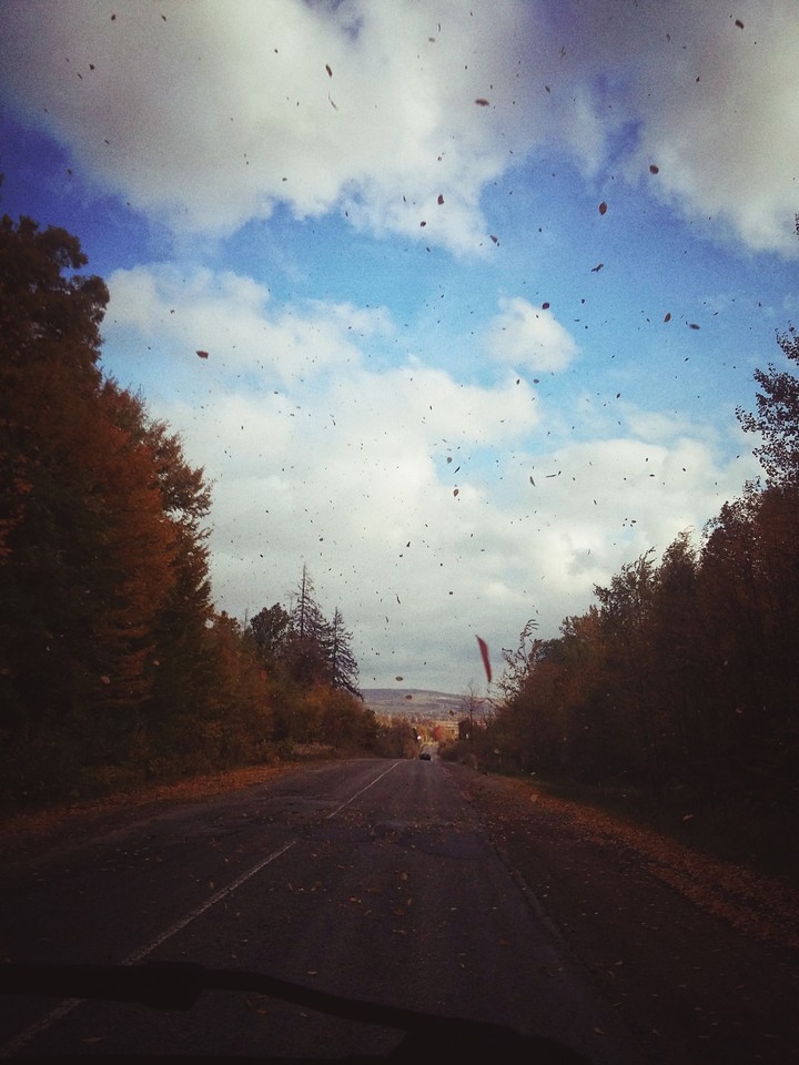 Autumn