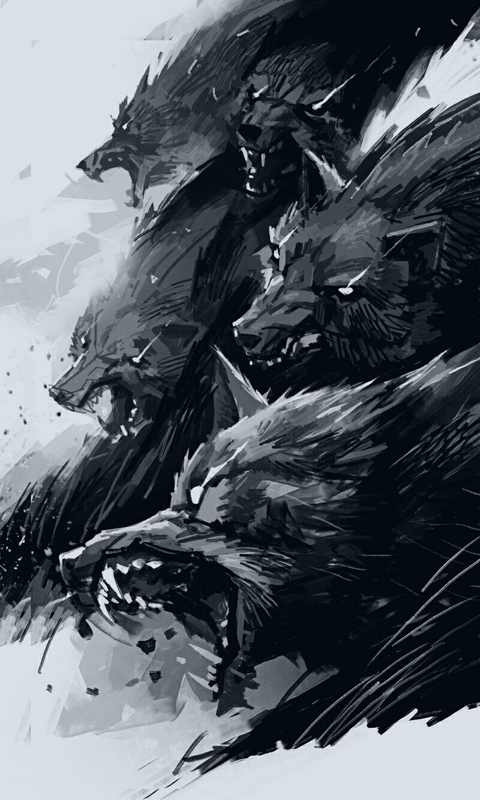 wolf