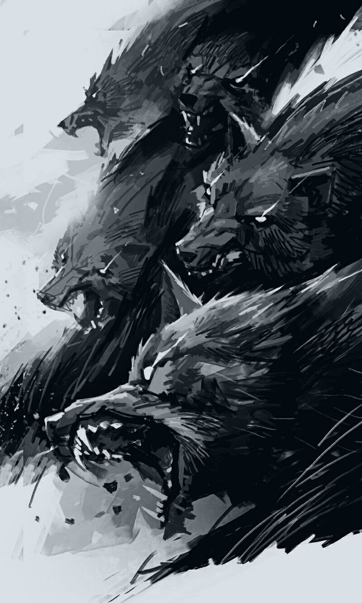 wolf