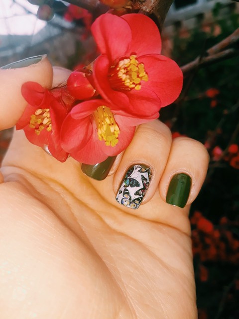 Nailf